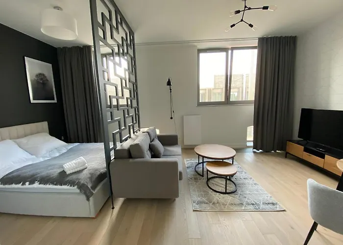 Mlyn Maria - W Sercu Wroclawia Apartman